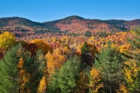 Black Bear Lodge Plan